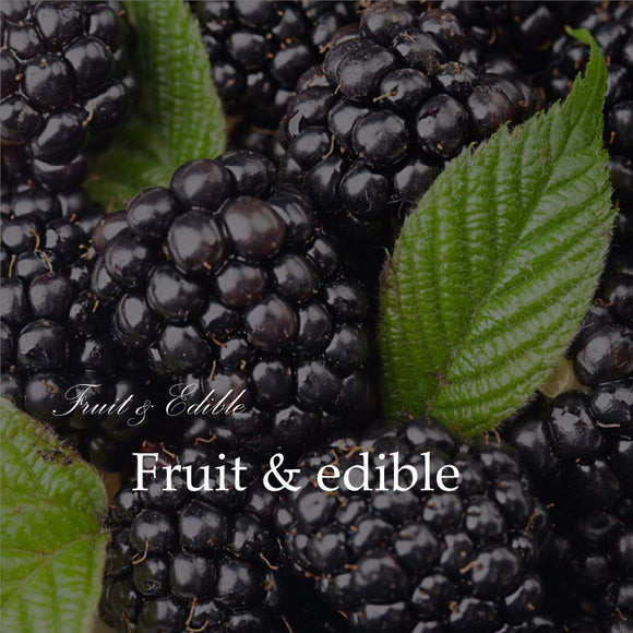 Fruit & Edible