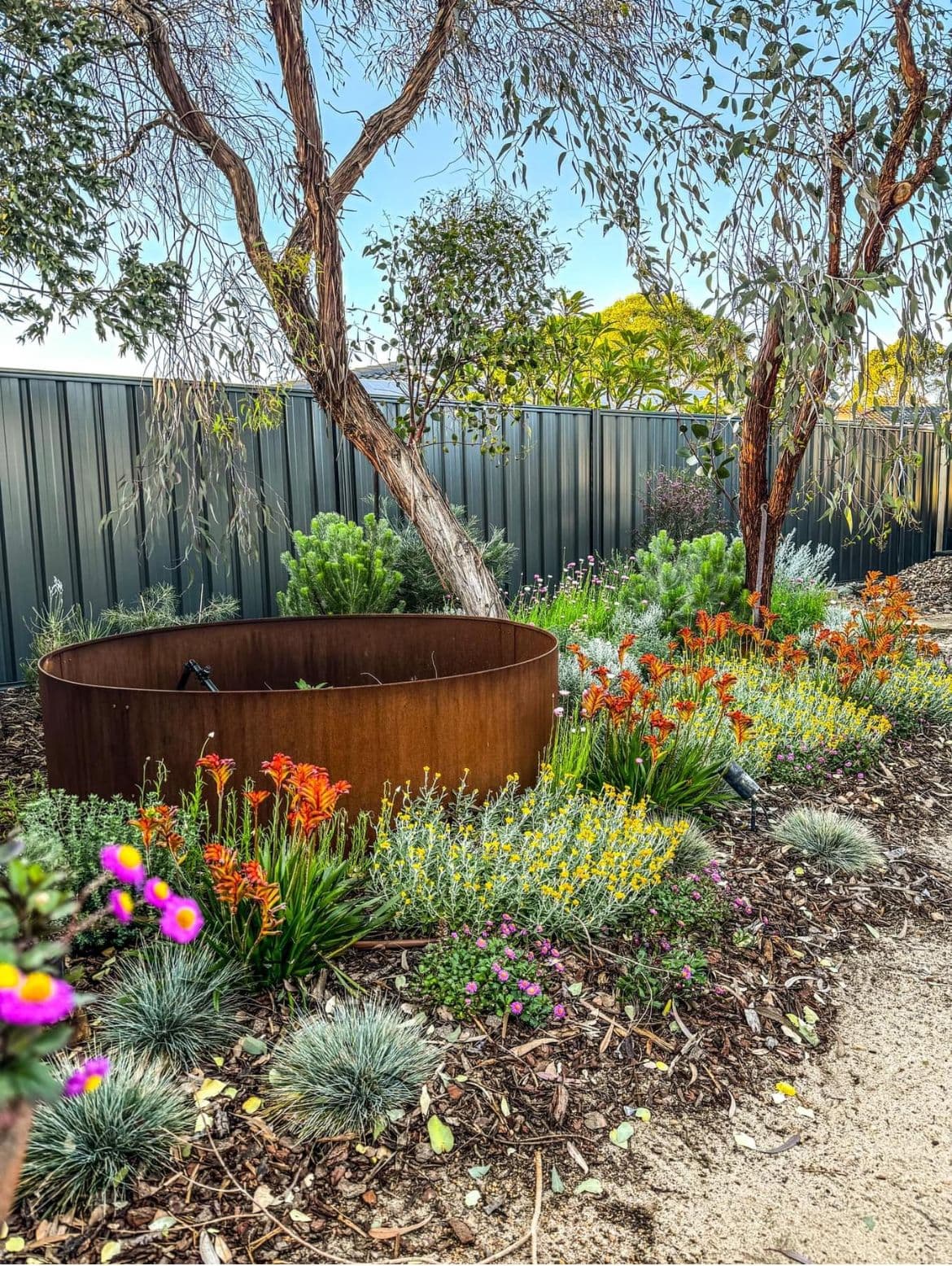 Full Sun Plants collection at Evergreen Growers