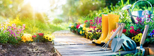 4 Ways You Can Help Your Garden Survive a Dry Summer