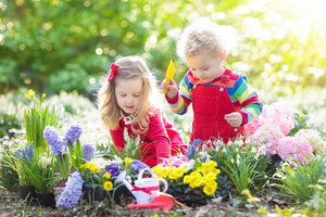 Creating a Toddler-Friendly Garden