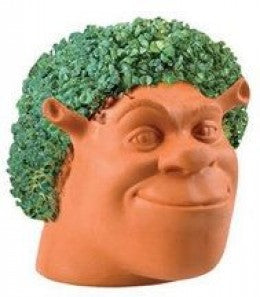 DIY Chia Pets: A Lesson In Nature And Nurture