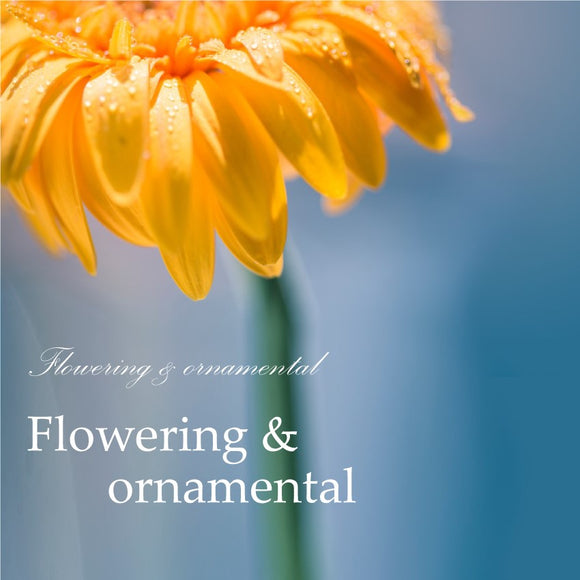 Flowering & Ornamental
