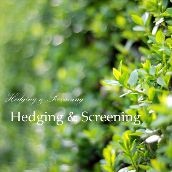 Hedging & Screening Plants